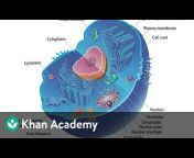 Khan Academy India - English