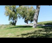Albuquerque Parks and Recreation