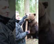 Про домашнего медведя.Pavel Vyakin