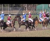 Australian Polocrosse Videos
