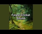 Nature Sounds Nature Music - Topic