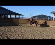 Cal Poly Performance Horses