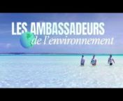 Les ambassadeurs de l&#39;environnement