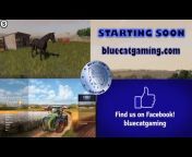 Blue Cat Gaming