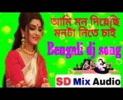 SD Mix Audio