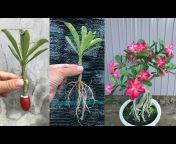 Plant Breeding tips