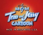 Tom cat jerry mouse