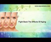 Top Anti-Aging Supplements