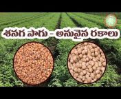 PJTSAU Agricultural Videos