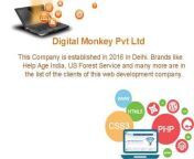 Digital Monkey Pvt Ltd