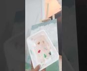 Vlog painting