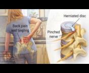 G50 chiropractic Spine Clinic