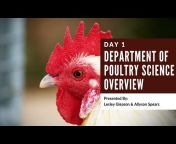 TAMU Poultry Science