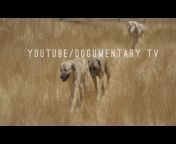 Dogumentary TV