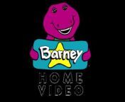 The Barney Collector