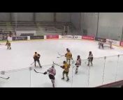 Ice Hockey Mania