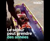 Wada7 France