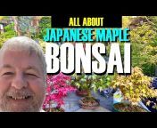 Jason Hanrahan - The Bonsai Garden