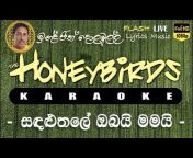 Honeybirds Karaoke