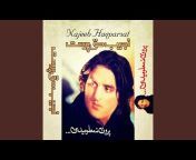 Najeeb Haqparast - Topic
