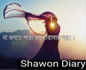 Shawon Diary