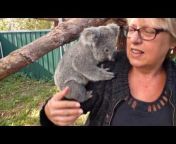 Port Stephens Koala Hospital