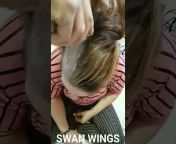 swan wings