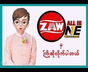 ZAW ALL IN ONE Channel