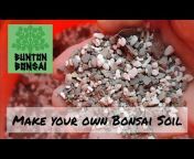 Bunton Bonsai