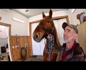 Working Horses With Jim