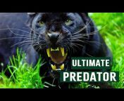 Apex Predators