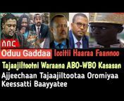 Bonsa Addisu Gute - Good News - Oduu Gaarii