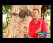 Mr-Ethio Video