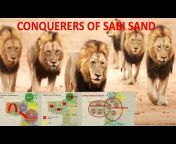 All about the Lions of Sabi Sand