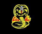 Cobra Kai Fan Channel