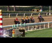 Breeders&#39; Cup World Championships