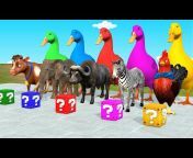 Funny Toon 3D Animals
