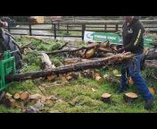 Timber Croc - Official Channel - Des Geraghty