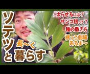 熱帯植物栽培家の気まぐれ塾YouTube版