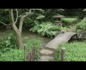 Japan Video Topics - English