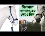 Horse Tips Bangla