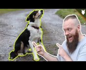 Will Atherton Canine Training