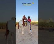 travel vid STR (horses)