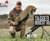 Join in on a predator stand where Jon tags out on bobcats in Kentucky. nnnnEquipment Used On Stand:nnnnFoxPro Shockwave - https://www.gofoxpro.com/nnSwagger Bipods QD42 - https://swaggerbipods.comnnRealtree Edge Camo - https://www.realtree.comnnXGO Phase 4 Base Layers - https://www.proxgo.comnnScentLok Suit - https://www.scentlok.comnnHager Custom Rifle chambered in .22 CreedmoornnnnFollow Jon On Instagram - https://www.instagram.com/jon_collins3