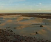 &#39;No Distance Between Us&#39; (2018) explores the cultural significance of the largest human fossil footprint site in the world, told through the candid voices of the Traditional Custodians of the Willandra Lakes Region, the Barkandji, Mutthi Mutthi and Ngiyampaa people.nnFeaturing places not accessible to the public and filmed in a unique window of time, before the footprint site was concealed and covered in tonnes of sand for conservation purposes, this film engages with the ancient and continued c