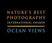 In this 60-second video, we present a selection of past finalists in the Ocean Views category, in partnership with Divers Alert Network. n• • •nThese images showcase the diversity and fragility of the ocean realm photographed from above, below, and near the surface, as well as the creatures who depend upon the sea for survival. n• • •nEnter YOUR best photos in the Nature’s Best Awards at naturesbestphotography.com/enter.nFollow the link on our Instagram profile (@naturesbestphotoma