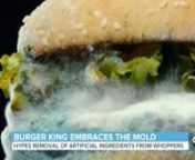 Moldy Whopper - Case study from whopper whopper