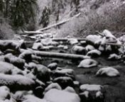 A snowy hike through McDowell Creek park. nnThis is the first video I captured with my new Canon HV30. Woohoo! I am so happy with the quality of the HD video - like still images come to life. :)nnWonderful music by cellist Jami Sieber. nnhttp://www.magnatune.com/artists/albums/sieber-hidden/nnCreative Commons License, Attribute-NonCommercial-Share Alike