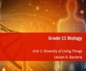 Sample Lesson SBI3U Grade 11 Biology