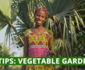 7 Tips to start or improve your own vegetable garden. From ViDi with love!nnViDi is a platform with videos to help you improve your life. nnWant to learn more? Make sure you subscribe to ViDi for New Videos: https://www.youtube.com/channel/UCGGCNv8wybThRFzQvYaxSng?sub_confirmation=1nnFollow us here:nFacebook // https://www.facebook.com/vidicommunity/nInstagram // https://www.instagram.com/vidi.community/nYoutube // https://www.youtube.com/channel/UCGGCNv8wybThRFzQvYaxSngnnMusic Wanted!nAre you a